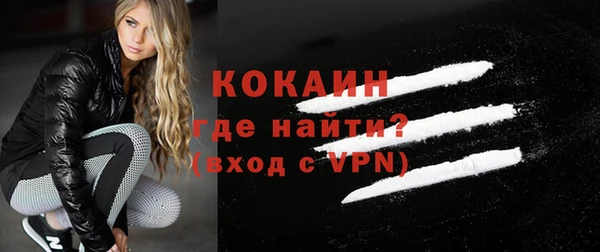 шишки Богородск