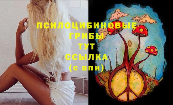 гашик Богданович