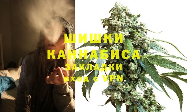 шишки Богородск