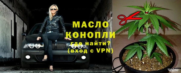 гашик Богданович