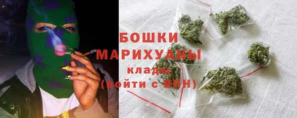гашик Богданович
