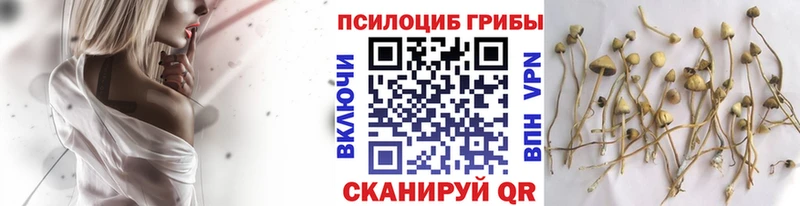 MEGA ССЫЛКА  Дагестанские Огни  Галлюциногенные грибы прущие грибы  купить наркотики сайты 